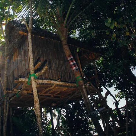 Nyuh Bengkok Tree House