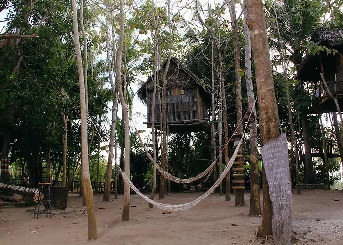 Nyuh Bengkok Tree House 2*