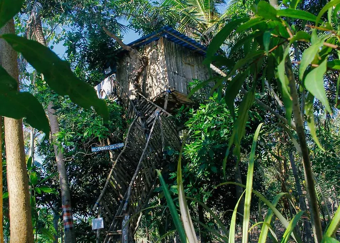 ホリデーパーク Nyuh Bengkok Tree House