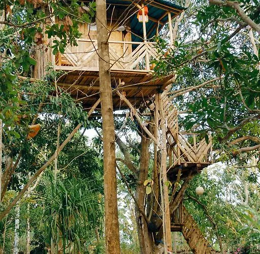 Nyuh Bengkok Tree House ホリデーパーク 2*