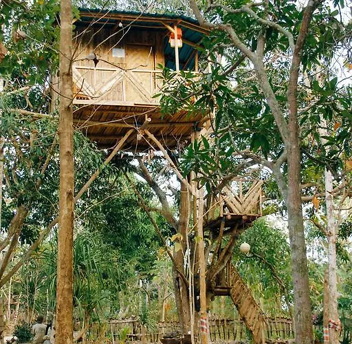 Nyuh Bengkok Tree House ホリデーパーク